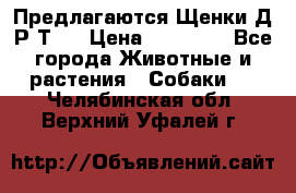 Предлагаются Щенки Д.Р.Т.  › Цена ­ 15 000 - Все города Животные и растения » Собаки   . Челябинская обл.,Верхний Уфалей г.